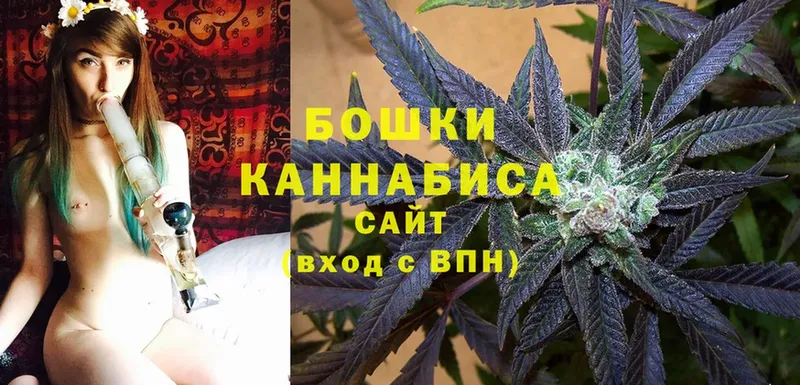 где купить наркоту  hydra ССЫЛКА  Шишки марихуана LSD WEED  Знаменск 